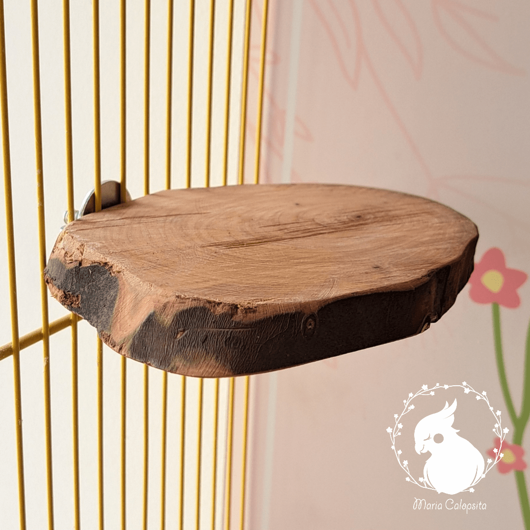 PLATAFORMA RÚSTICA ESPECIAL MARIA CALOPSITA